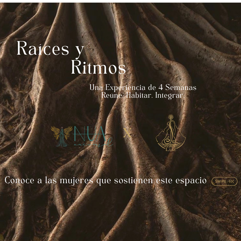 Raíces y Ritmos: Una Experiencia de 4 Semanas