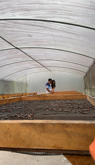 Meeting Cacao at Its Roots