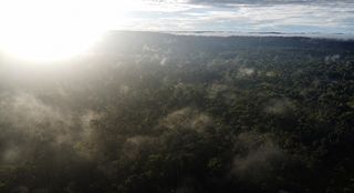 The Call to Ecuador