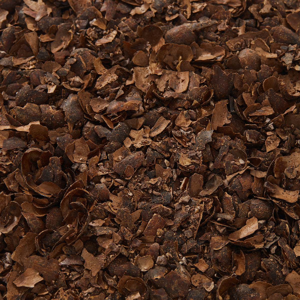 Cacao Husk Tea